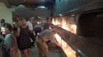 Svijeće za Srbe, žrtve “Oluje” – početak obilježavanja 19. godišnjice progona Srba iz RSK, Banja Luka 3.8.2014 – Video