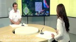 RTS, 28.07.2016., Štrbac: U Hrvatskoj cveta proustaštvo [Video]