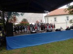 Svesrpski sabor „Krušedolska zvona“ 28.5.2018. Foto: DIC Veritas i prijatelji