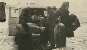 Transport u logor Jasenovac: Srbi su, kaže dalje predsjednik države, pružali otpor zbog čega su bili tretirani kao neprijatelji Foto: Arhiv Vojvodine, Večernje novosti