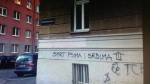 Beć: Ustaški grafiti na bečkim fasadama Foto: B92, Tanjug, Zoran Mirković