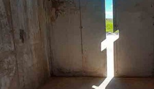 Pomen kraj spomen-krsta na Petrovačkoj cesti, 7.8.2021. Foto: DIC Veritas