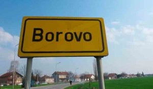 Borovo, ilustracija Foto: internet