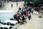 Политика, 07. 08. 2022, Саво Штрбац: „Олујни” азиланти у камповима УН