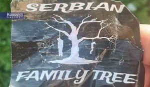 Beč: Poznati hrvatski nacistički plakat ‘Serbian Family Tree‘ na dečijem igralištu Foto: Kosovo Online, Ilija Tufegdžić