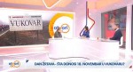 Savo Štrbac o 34. godišnjici stradanja u Vukovaru: ’Ovo je studeni novembar za Srbe u Hrvatskoj‘, 18. 11.2025. Foto: Newsmax Balkans, screenshot