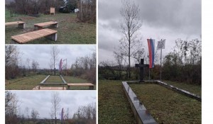 пин Сурдулица