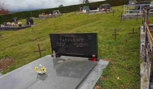 Groblje u s. Ljubošina pre uklanjanja gvozdenih nadgrobnih krstova Foto: Eparhija Gornjo-karlovačka