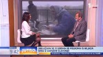 Jutro: Obeležava se 31. godina od pogroma 15.000 Srba iz Zapadne Slavonije, 2. 5. 2026. Foto: TV Prva, Youtube, screenshot