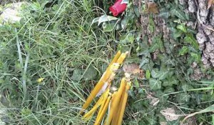 Parastos Srbima ubijenim u Uzdolju u op.Oluja, avgust 2014. Foto: DIC Veritas
